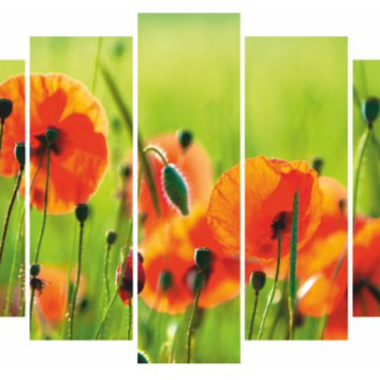 Модульная картина Тюльпаны