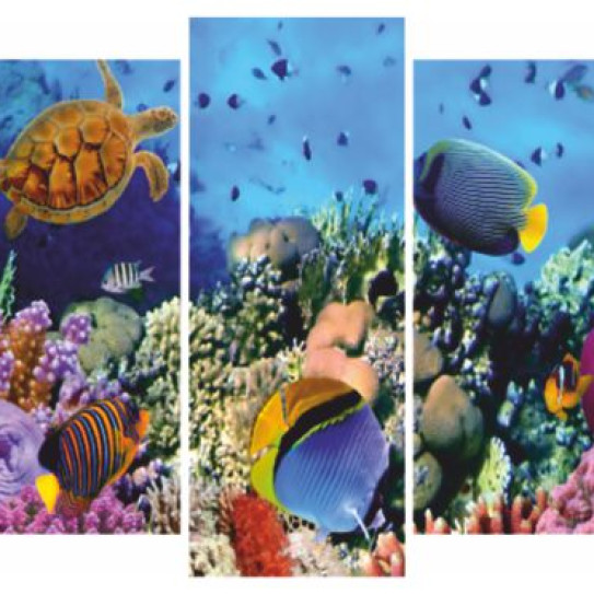 Модуль Рыбки