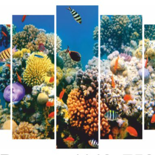 Модульная картина Кораллы