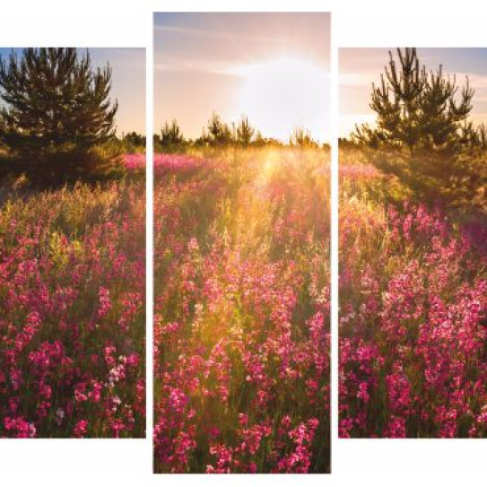 Модуль Луга